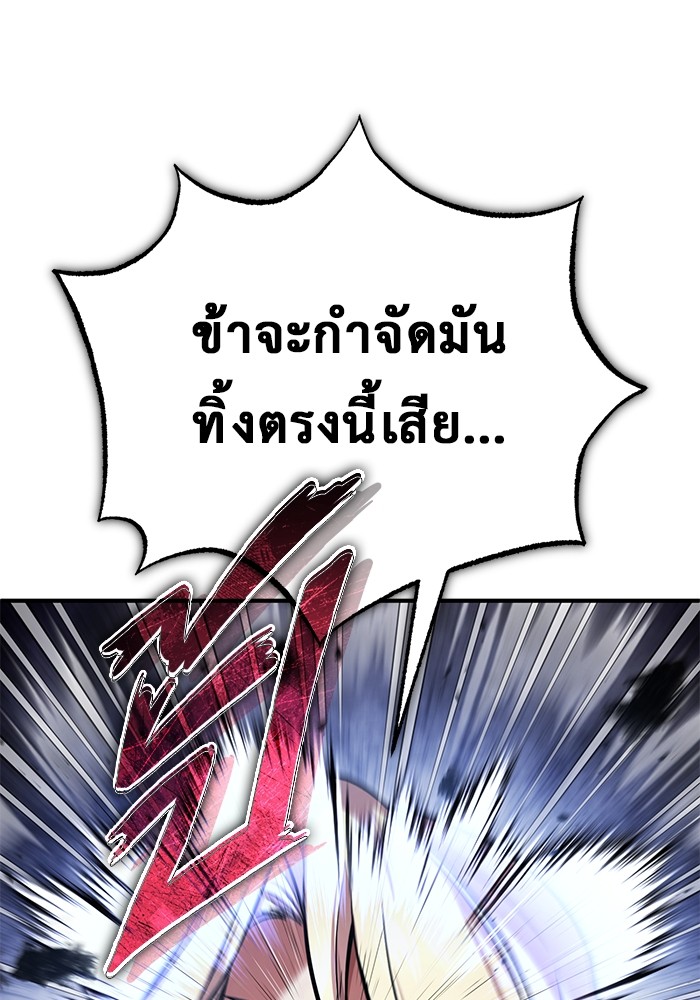 33 (11)