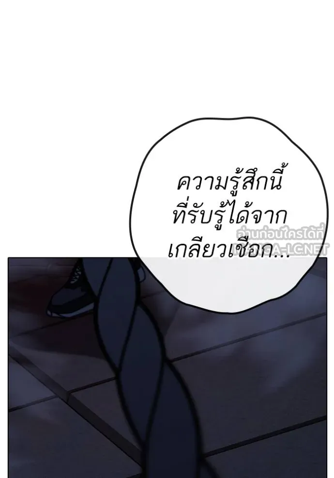 Reality Quest 146 081