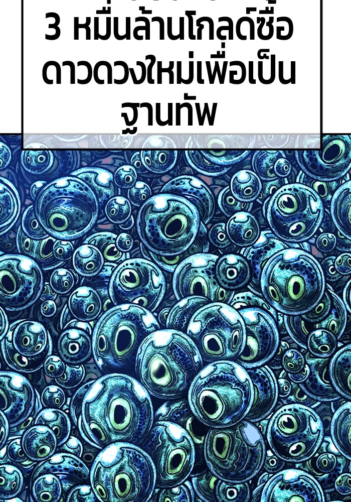113 (146)
