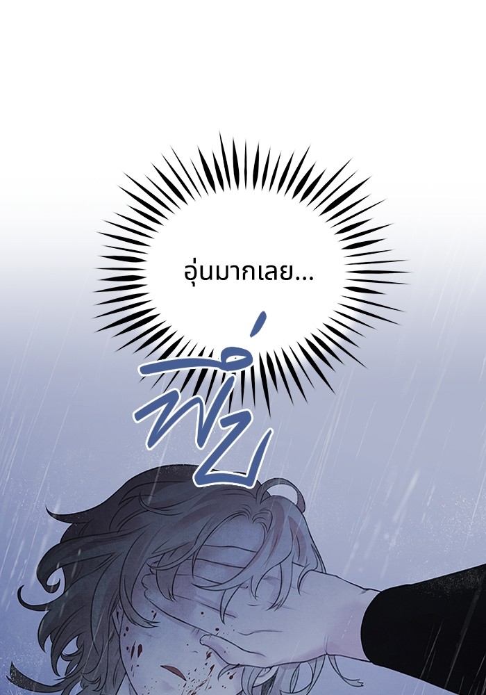25 (20)