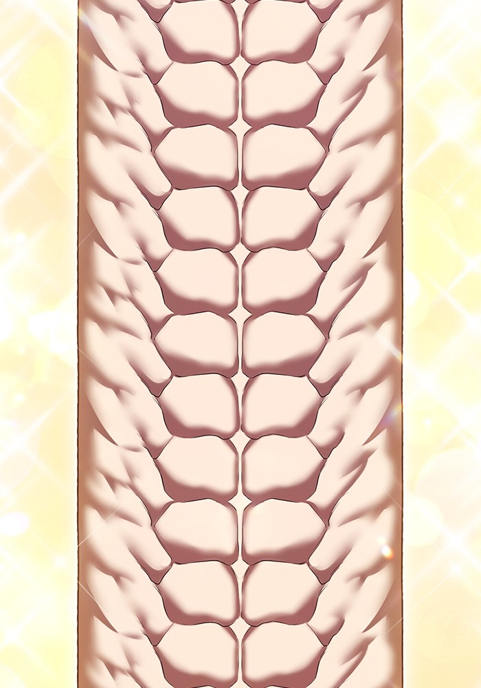 129 (68)