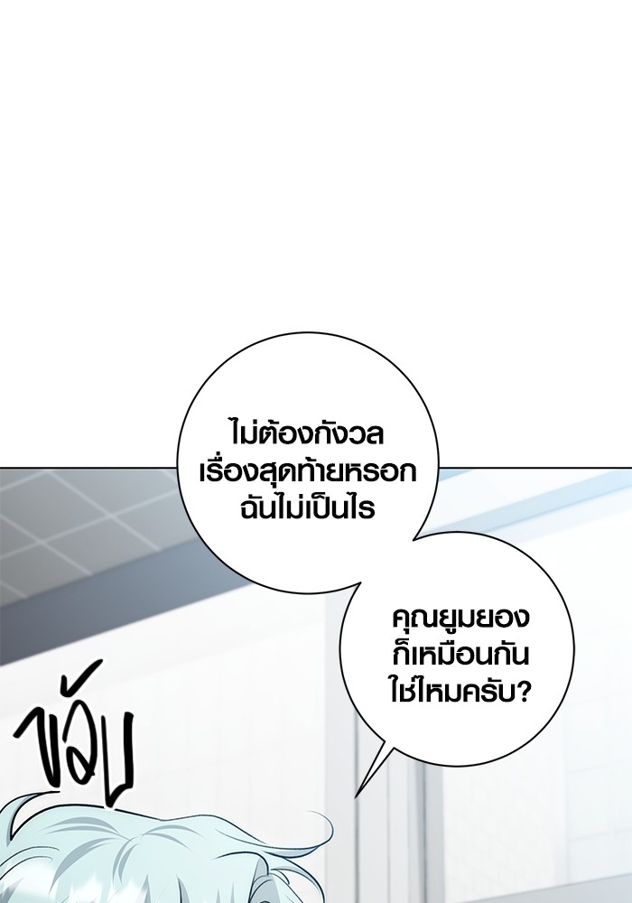27 (113)