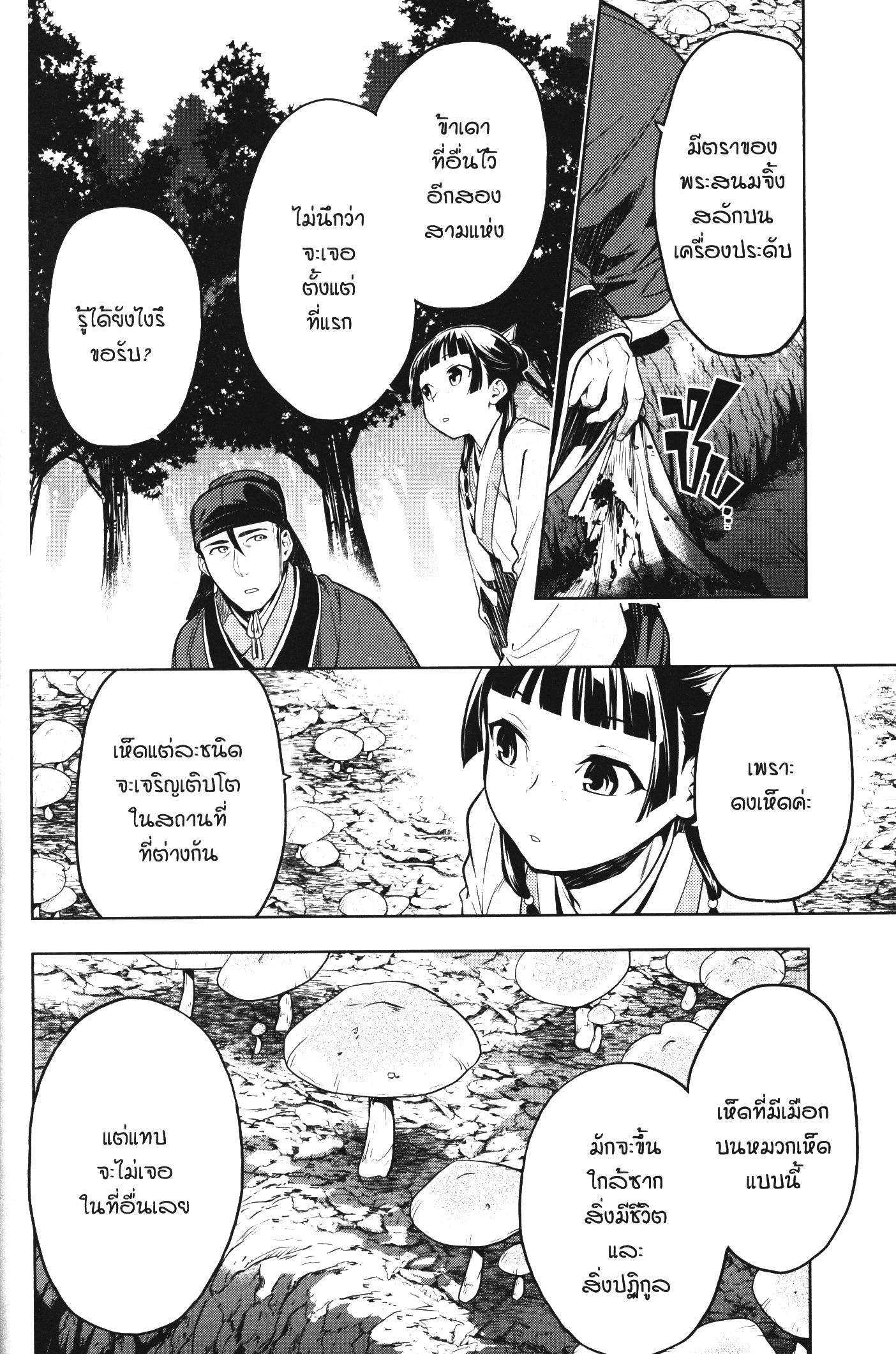 Kusuriya no Hitorigoto 45 (17)