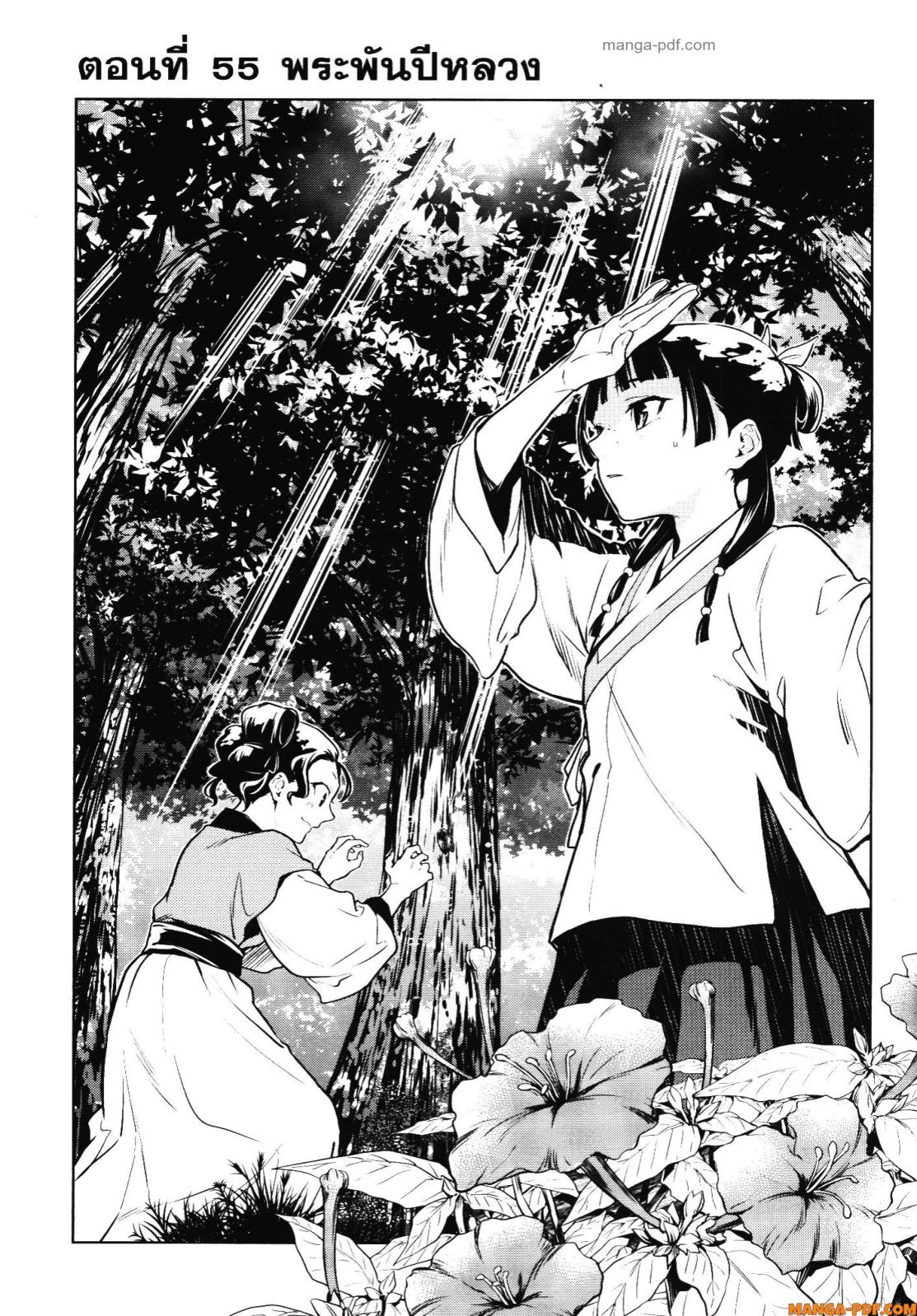 Kusuriya no Hitorigoto 55 (15)