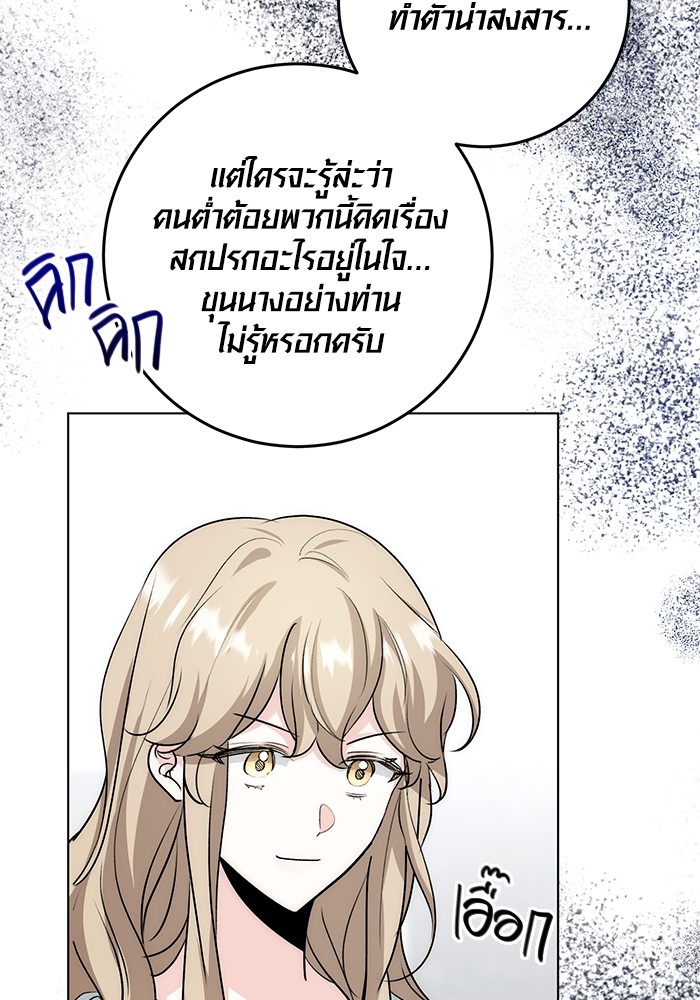 25 (95)