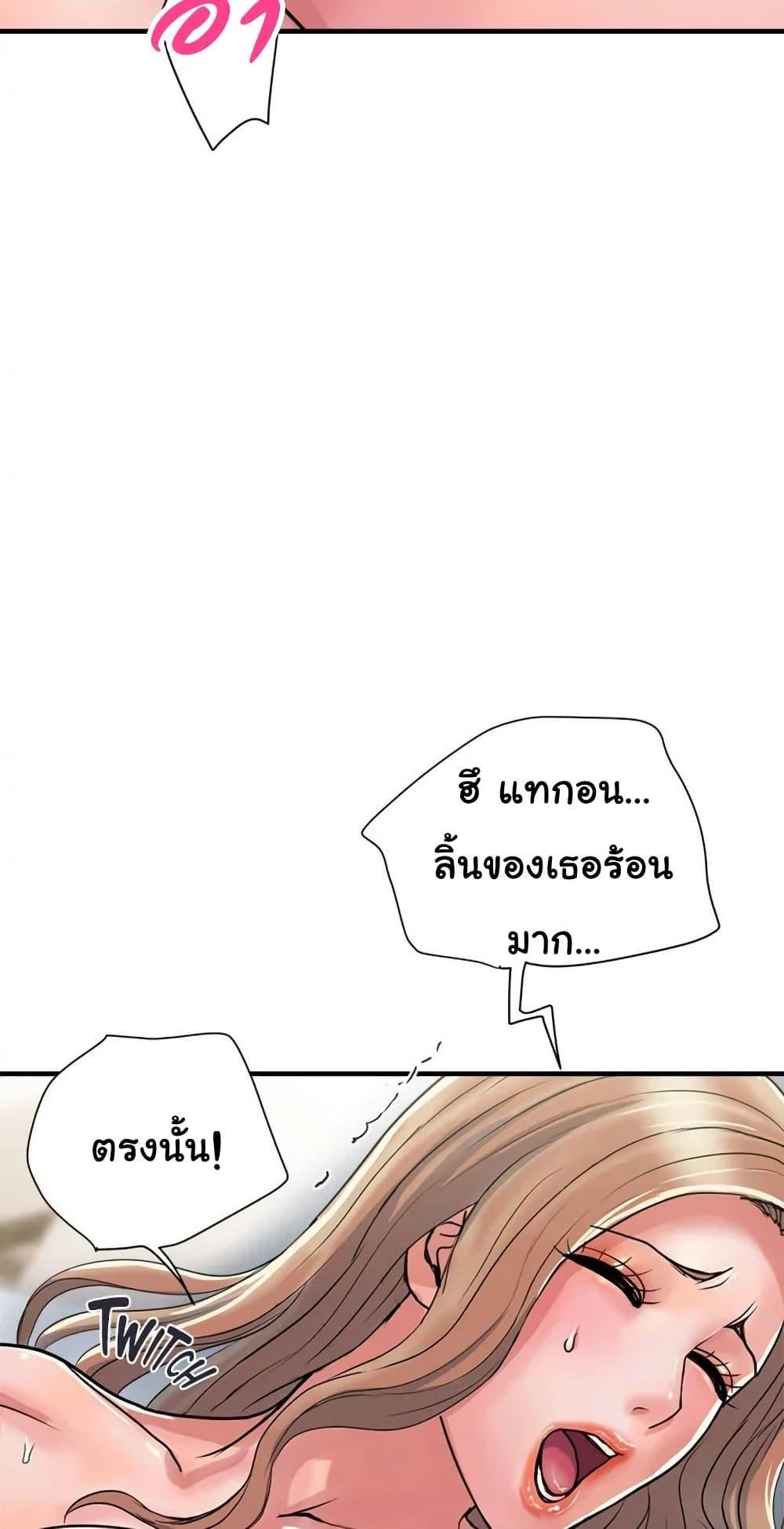 Pheromones 38 (28)
