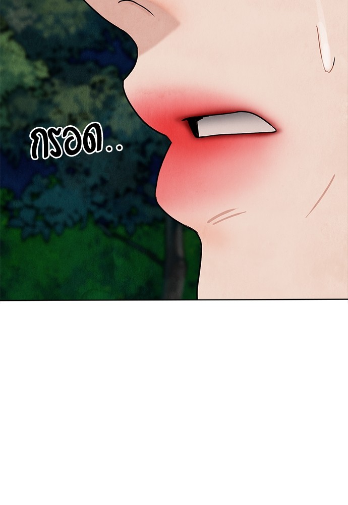 13 (55)