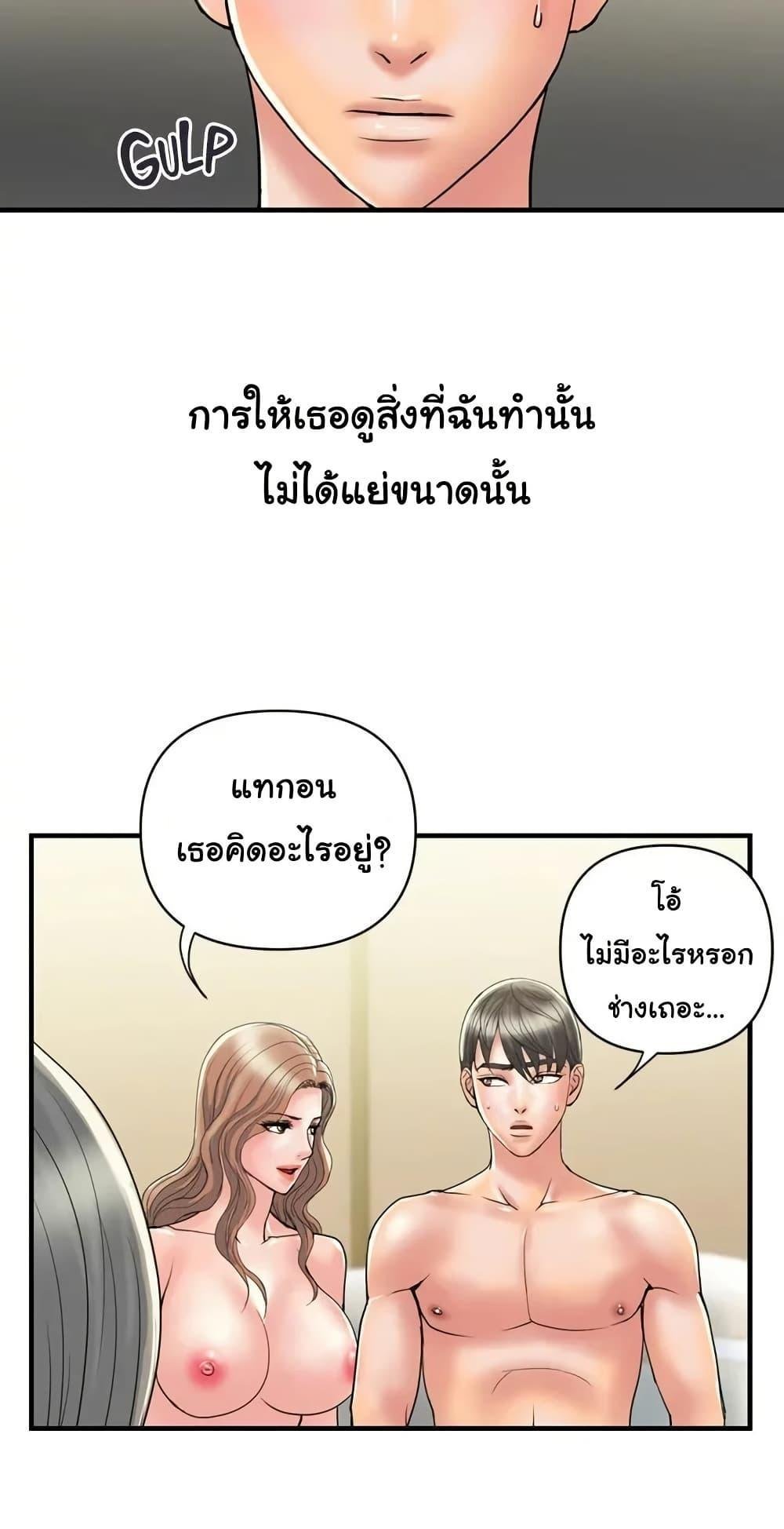 Pheromones 38 (17)