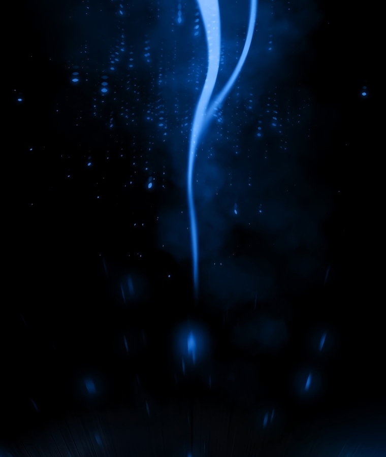 A Dragonslayer's Peerless Regression 6 114