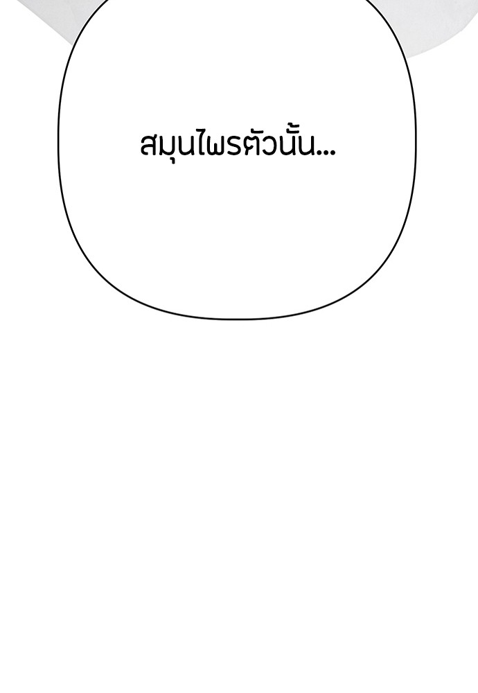 08 (126)