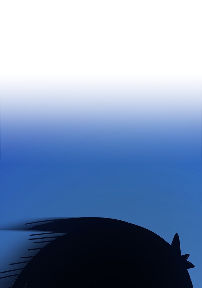 114 (40)