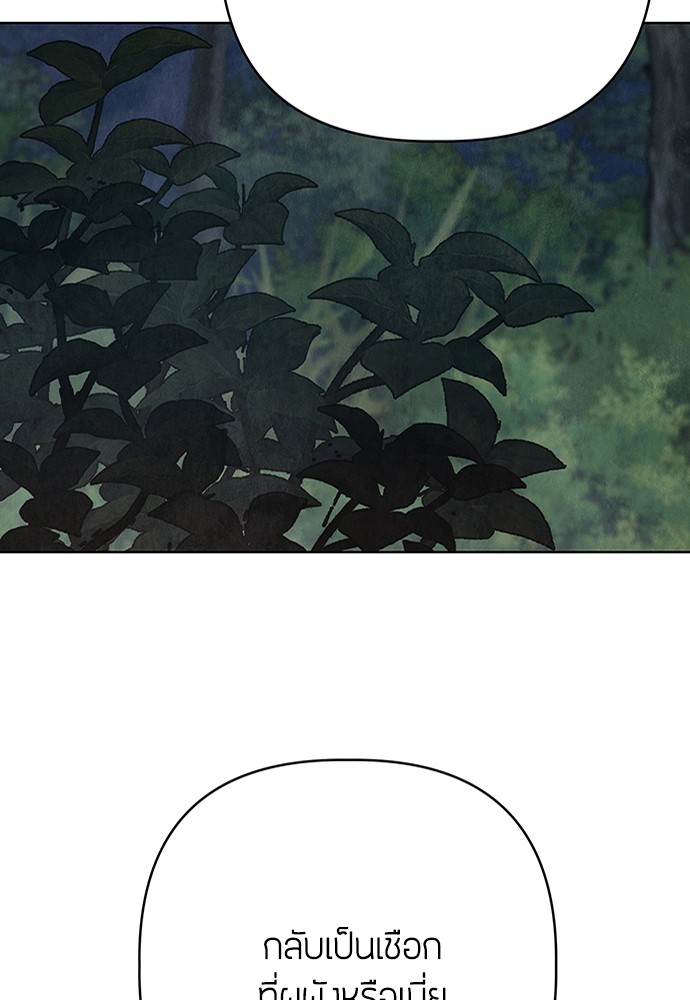 14 (41)