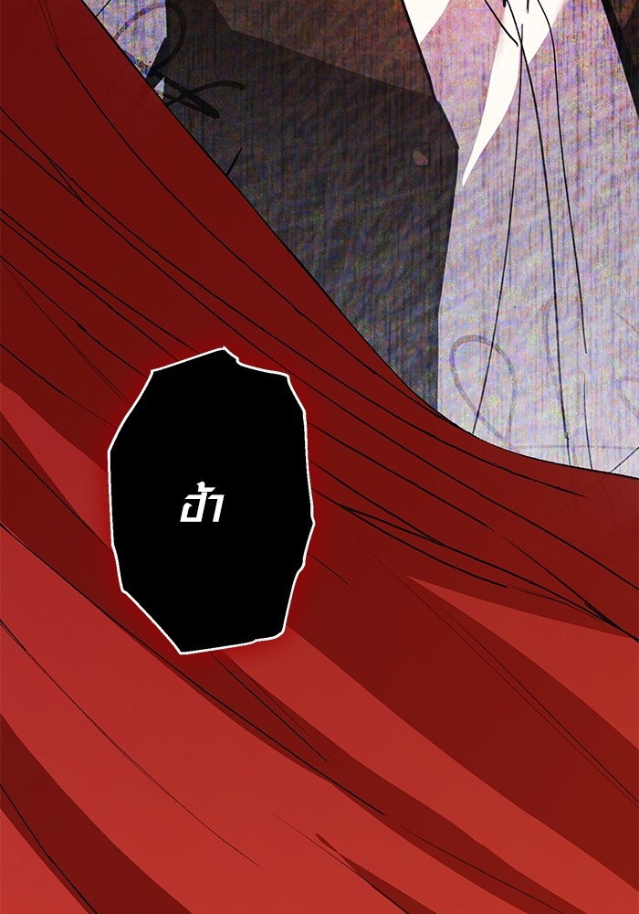 32 (5)