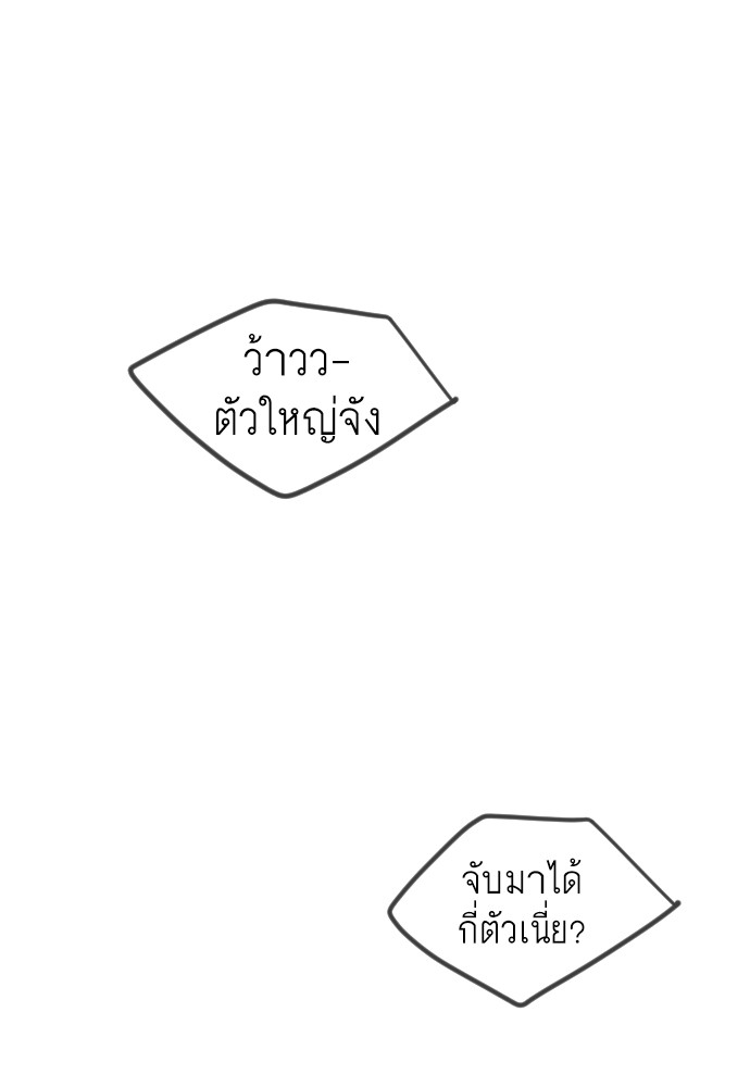186 (23)