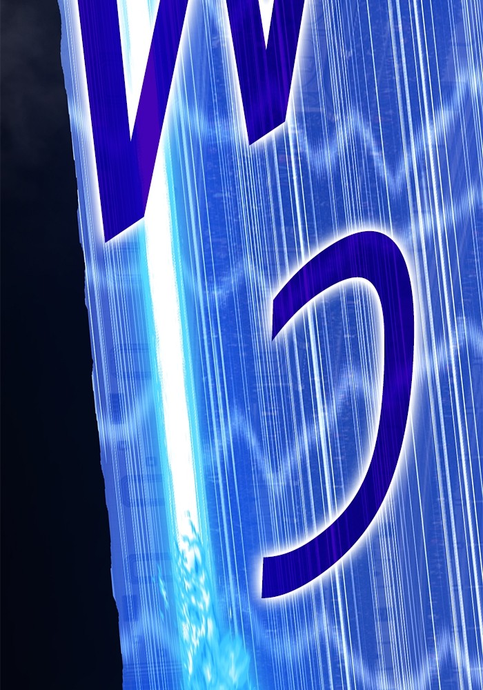 133 (95)