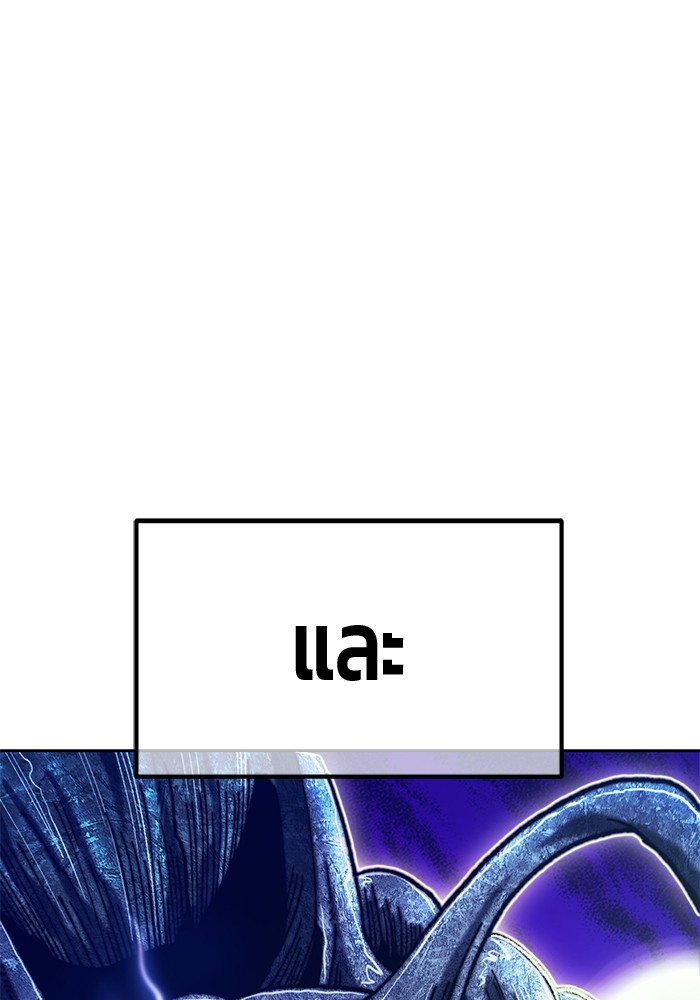 113 (141)